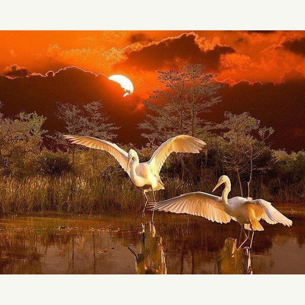 Cross Stitch Kit DIY Diamond Embroidery Red-crowned Crane Full Round Diamond Painting Home Decor 20X30CM