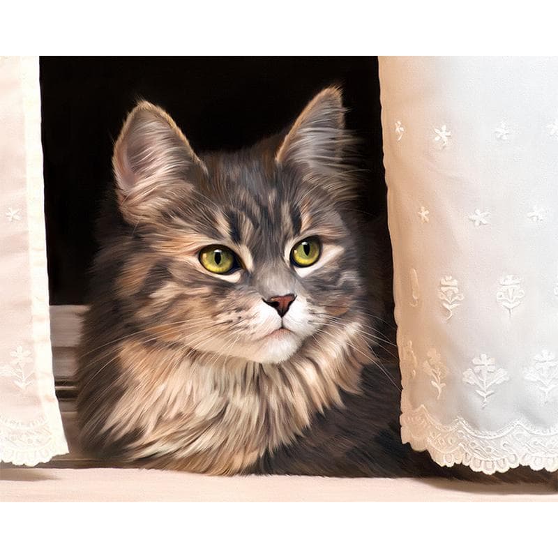 5D DIY Diamond Embroidery Full Round Diamond Painting Animal Cat Cross Stitch 20X30CM