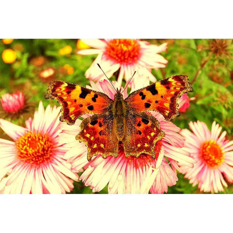 DIY Diamond Embroidery Flowers and Butterfly Diamond Painting Cross Stitch Diamond Mosaic Home Decor 20X30CM
