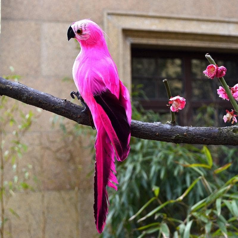 6 Colors 25cm Simulation Parrots Birds Artificial Parrots Home Garden Yard Decoration rose red