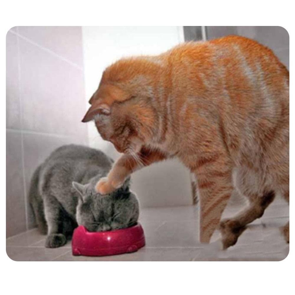 CAT-9 Mouse Pad Cute Cat Picture Anti-Slip Gaming Mouse Mat Replacement for PC Computer Laptop CAT-7