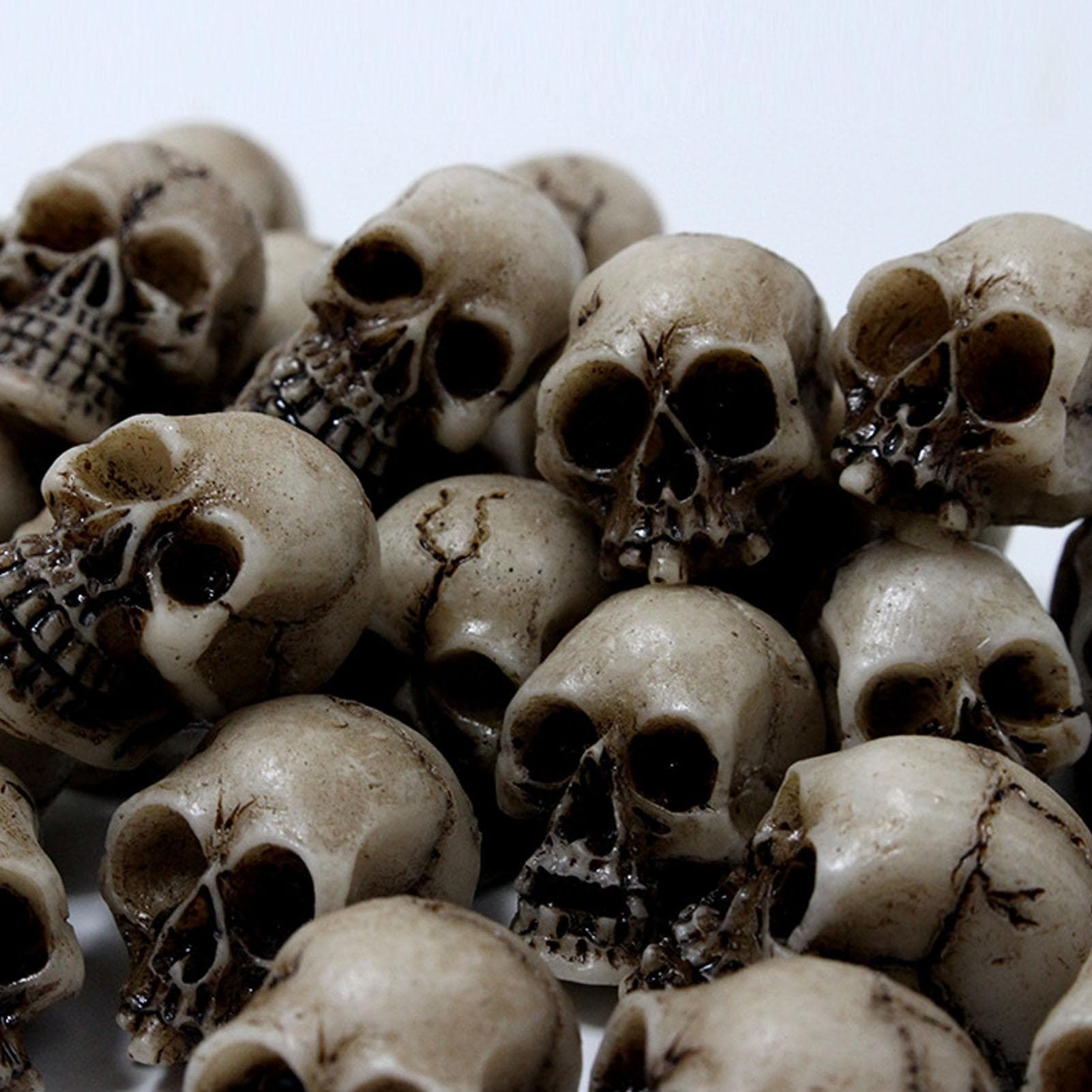 20Pcs Mini Resin Skull Flower Pot Miniature Skeleton Head Table Decor Micro Landscape Figure