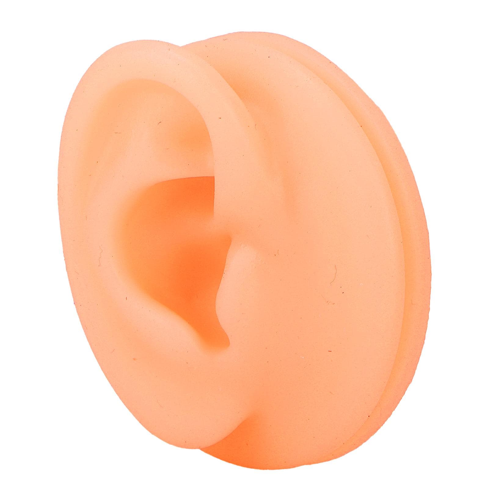 Silicone Ear Acupuncture Practice Model Reusable Simulation Ear Display Model False Ear ModelRight Right Ear