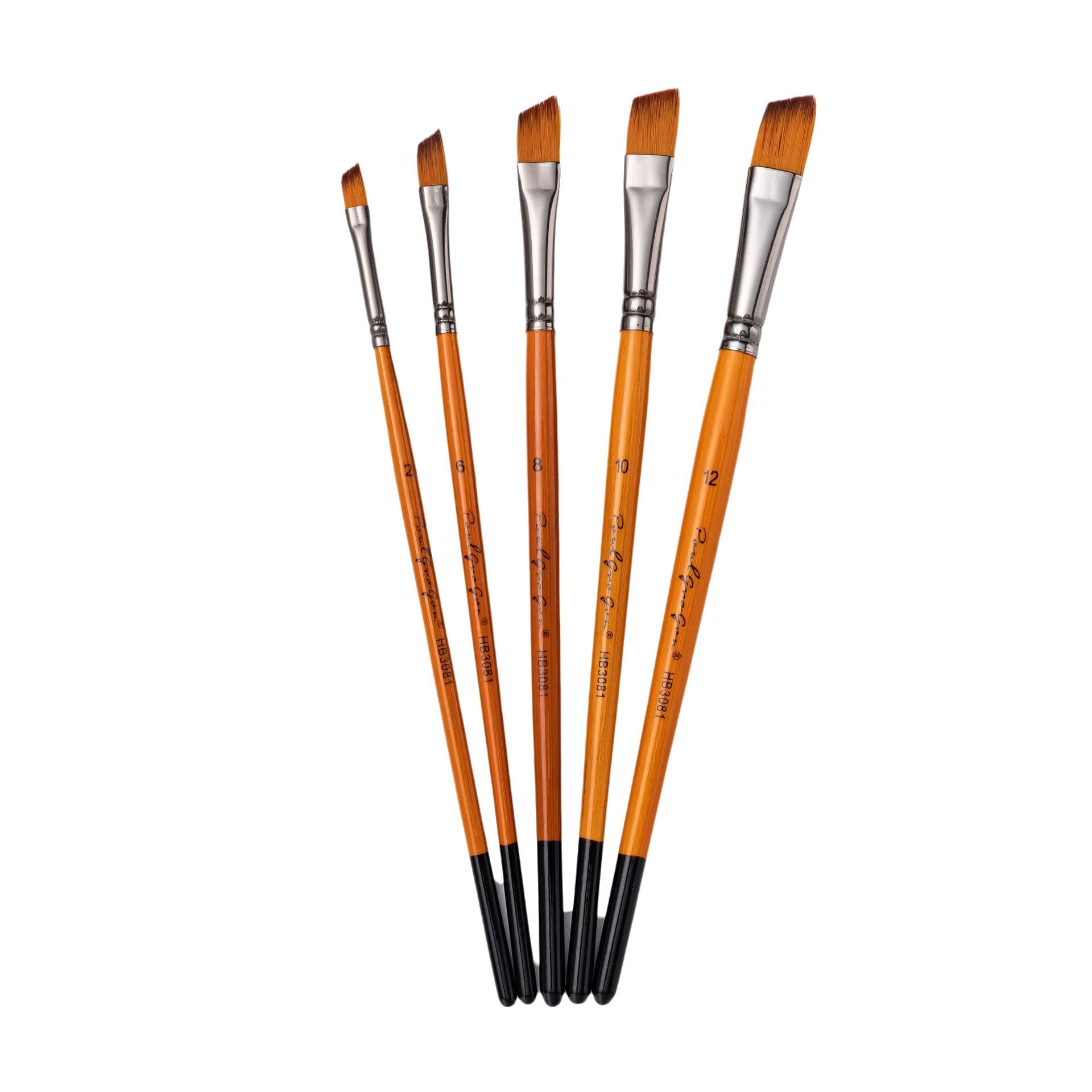 5pcs Draw Paint Brushes Set Kit Artist Paintbrush with Nylon Hair for Artist Acrylic Aquarelle -4