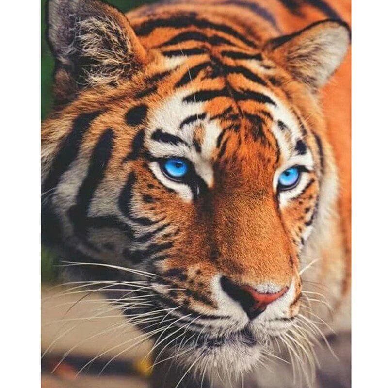 Diamond Painting Tiger Animal Diamond Embroidery Cross Stitch Drilling Diamond Mosaic Cross Stitch 20X30CM