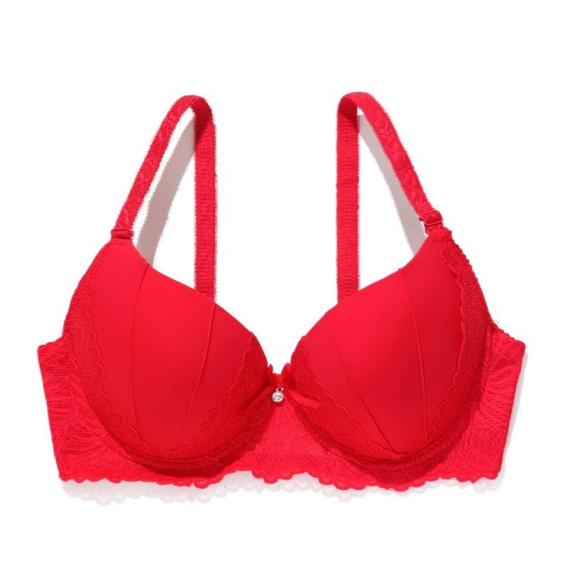 Contrast Lace Push Up Bra Comfy and Breathable Full Coverage Everyday Underwear Women's Lingerie B Cup Bras 34B red