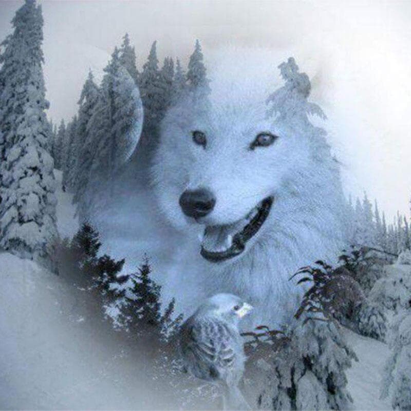 Diamond Painting Wolves Cross-stitch Kits for Embroidery with Diamond Paintings Diamond Embroidery 30x30CM