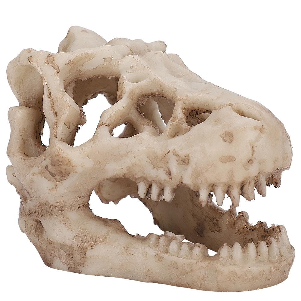 Aquarium Fish Tank Decor Artificial Simulation Dinosaur Skull Shape for Water Plants Decoration
