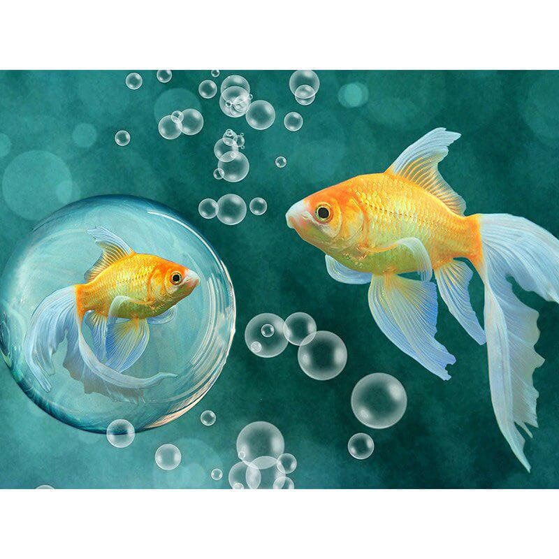 Full Round Drill Diamond Embroidery Beautiful Goldfish DIY Diamond Painting Cross Stitch Rhinestone 20X30CM