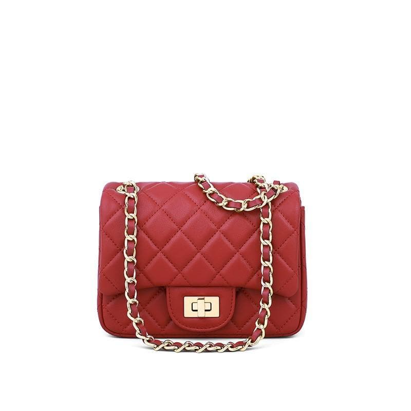 Women's Bag Foreskin Chain Bag Crossbody Bag Women's Crossspan Shoulder Bag Autumn Small Bag 17*12.5*7(cm)