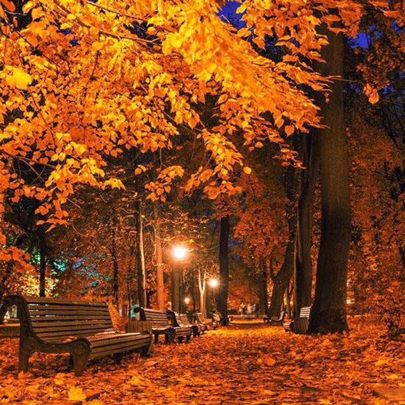 5d Diamond Painting Scenery Maple Woods At Night Diamond Embroidery Pictures Rhinestones Decoration 30x30CM