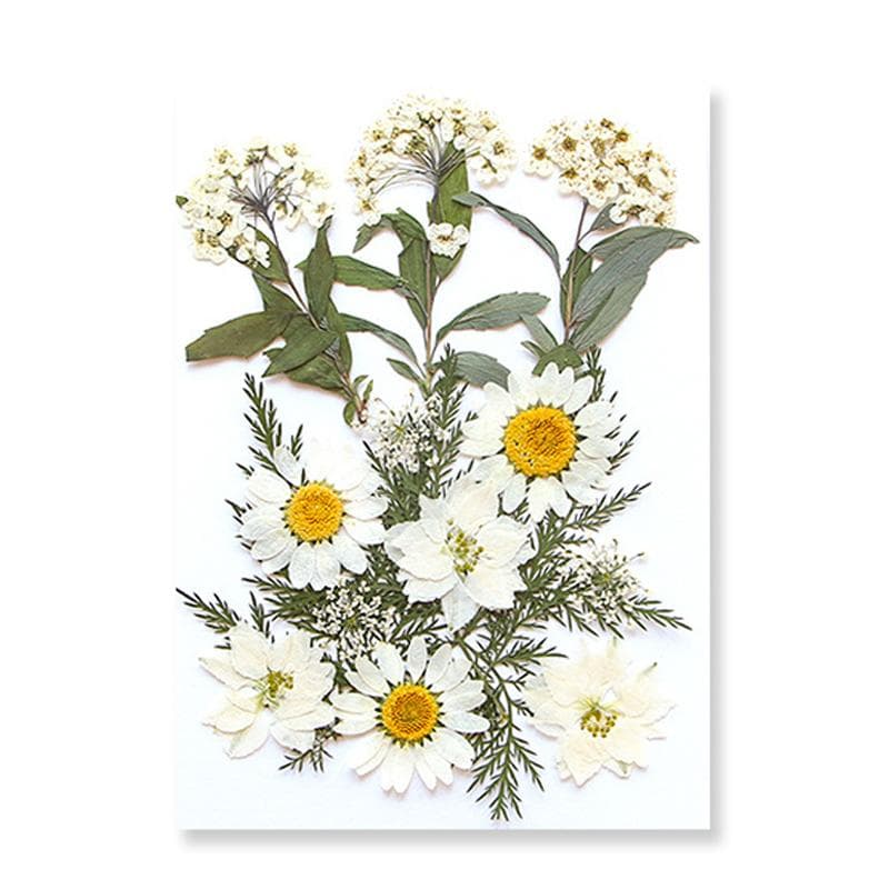 1Bag Dried Flowers UV Resin Filling DIY Epoxy Resin Mold Pendant Jewelry Decorative Natural Pressed Flower Art Floral Decors XYZ white