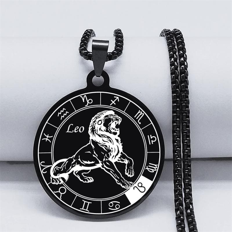 12 Constellation Stainless Steel Chain Necklace Women/Men Silver Necklace Jewelry