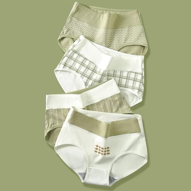 High Waist 4Pcs/Set Cotton Panties Women Underwear Briefs Female Lingerie Plus Size M-5XL XL