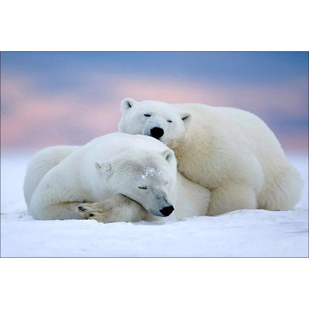 5D DIY Diamond Painting lovely polar bear animals Embroidery Cross Stitch Rhinestone home Decor gifts 20X30CM