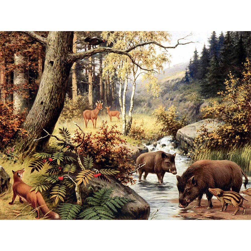 Diamond Embroidery Animal Wild Boar Diamond Painting Animal Rhinestone Cross Stitch Diamond Mosaic 30X40CM