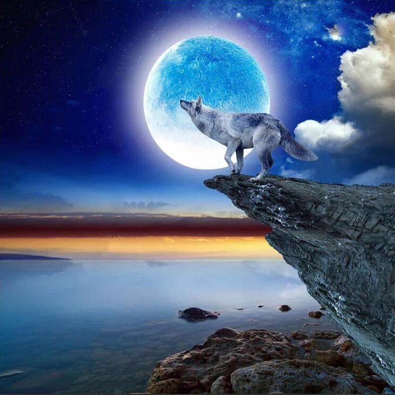 5D DIY Diamond Painting Wolf Under The Moon Light Embroidery Cross Stitch 30x30CM