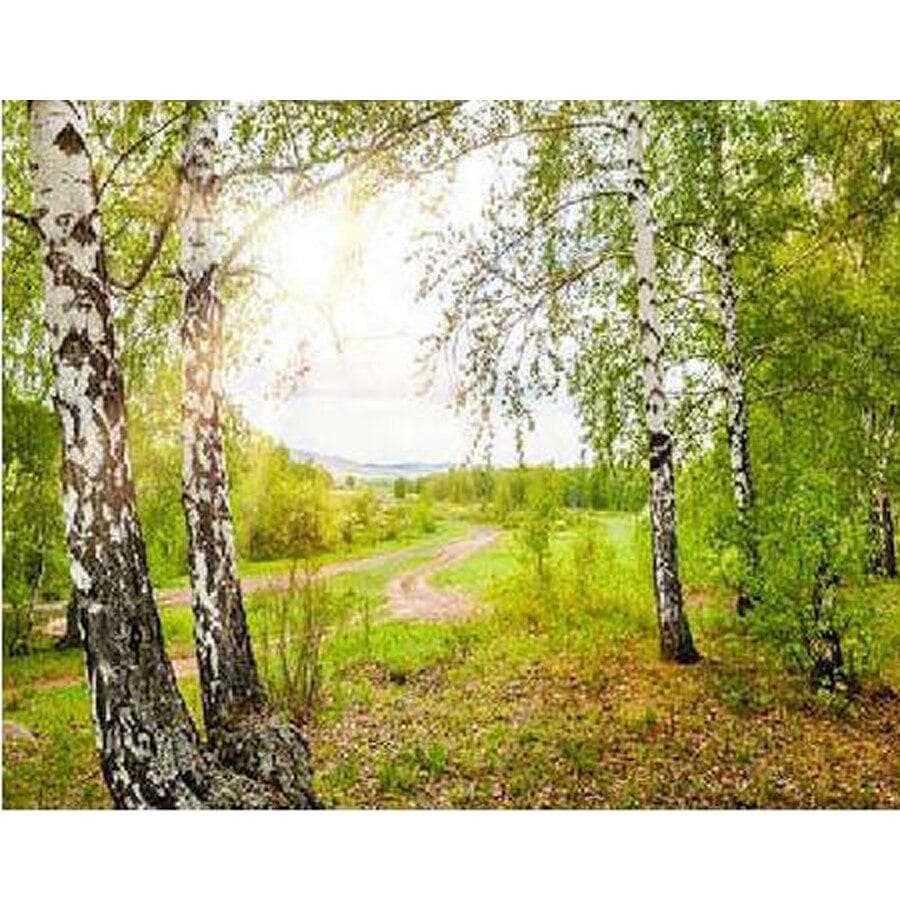 DIY Full Round Drill Diamond Painting Woods Landscape Mosaic Embroidery Cross Stitch 20X30CM