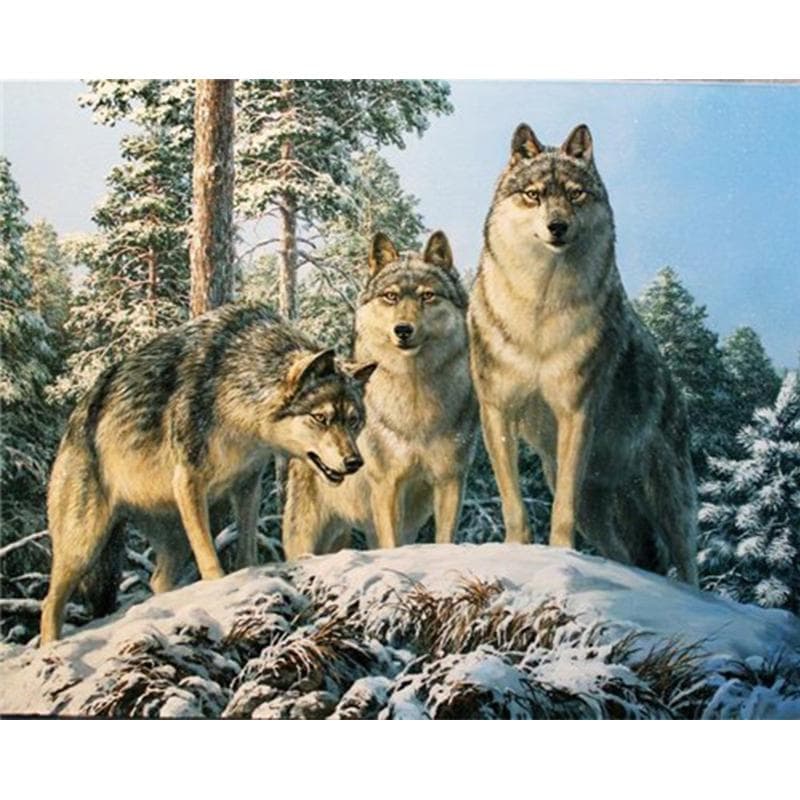 5D Diy Diamond Painting Wolf couple Animal Picture of Rhinestones Diamond Embroidery 20X30CM