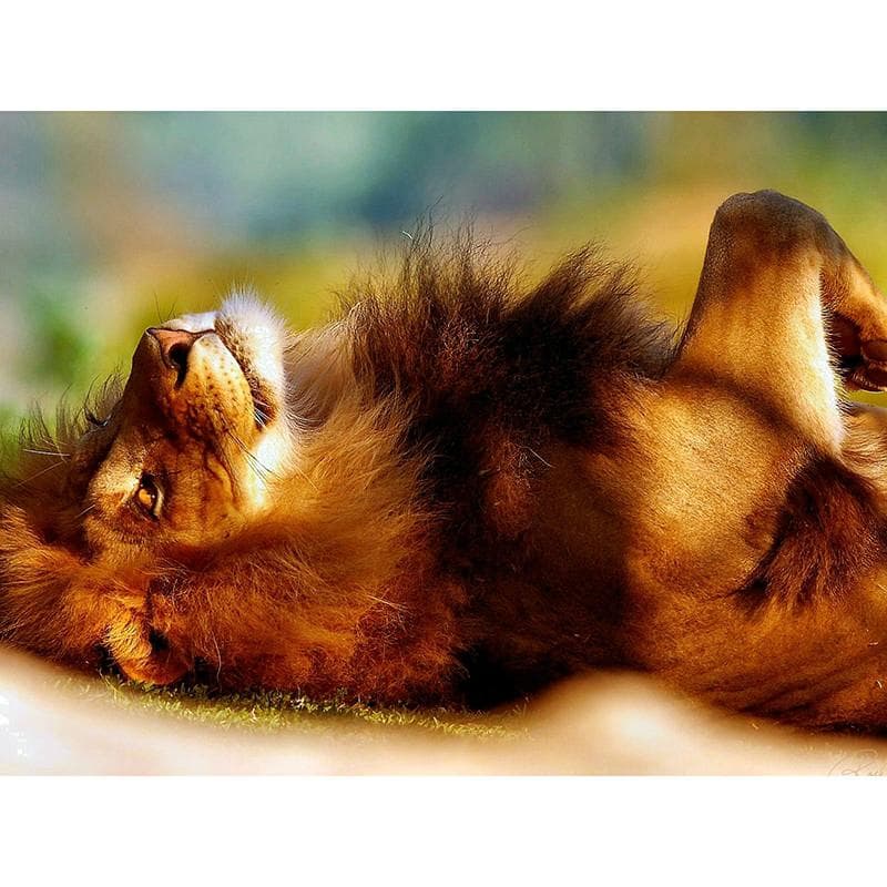 5D DIY Diamond Painting Lying Lion Diamond Embroidery Mosaic Cross Stitch Rhinestone Decor 20X30CM