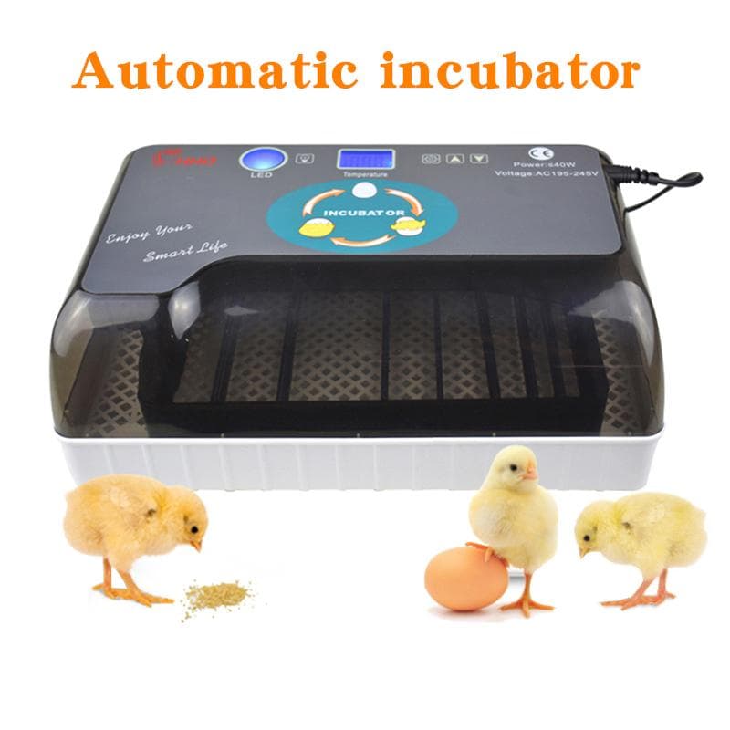 Household Automatic Incubator Brooder Farm Hatchery Machine 12 Eggs Hatcher Chicken Egg Incubator Goose Bird Quail Brooder EU PLUG 220V