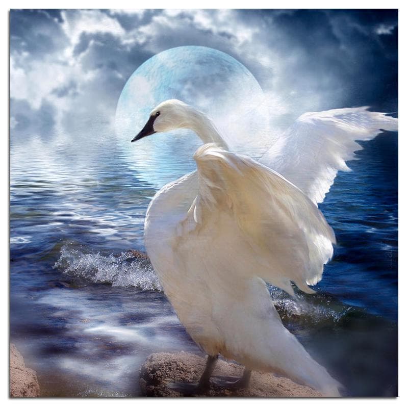 Diamond Embroidery White Swan Full Round Animals Rhinestones 5D DIY Diamond Painting 30x30CM