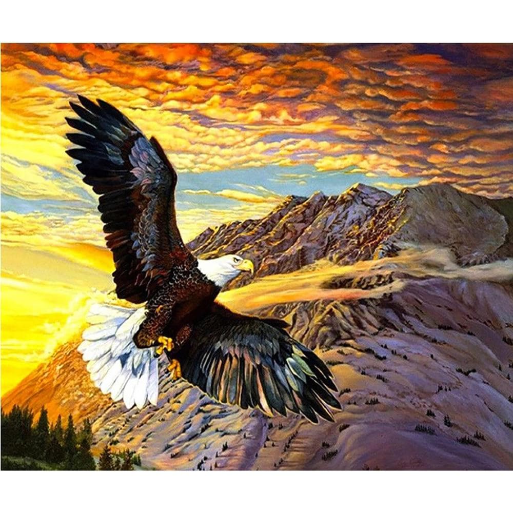 DIY 5D Diamond Painting  Flying eagle  Cross Stitch Diamond Embroidery Pattern Rhinestone 20X30CM