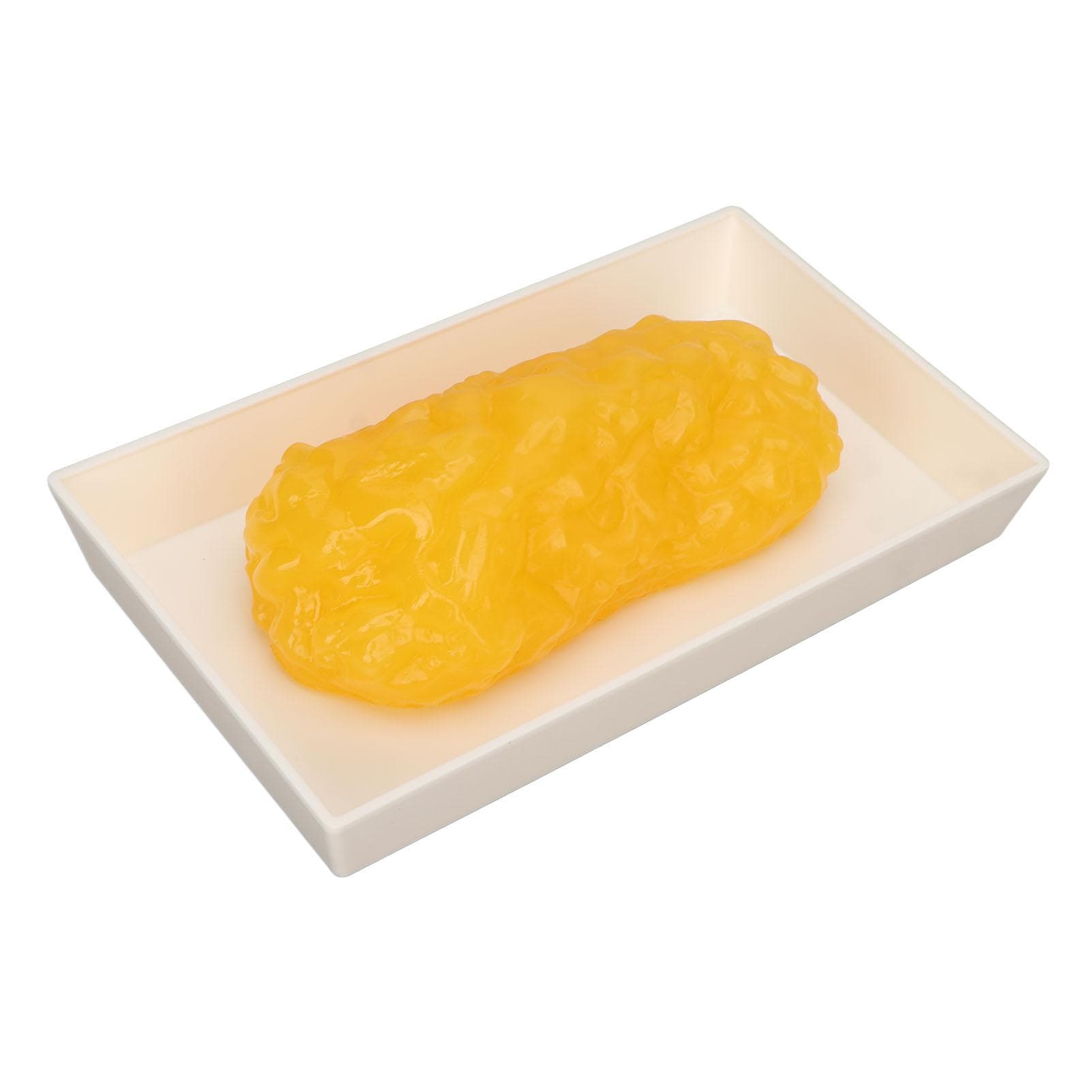Human Body Fat Replica 1lb Human Fatty Tissue Demonstration Model for Nutritionist Science Course