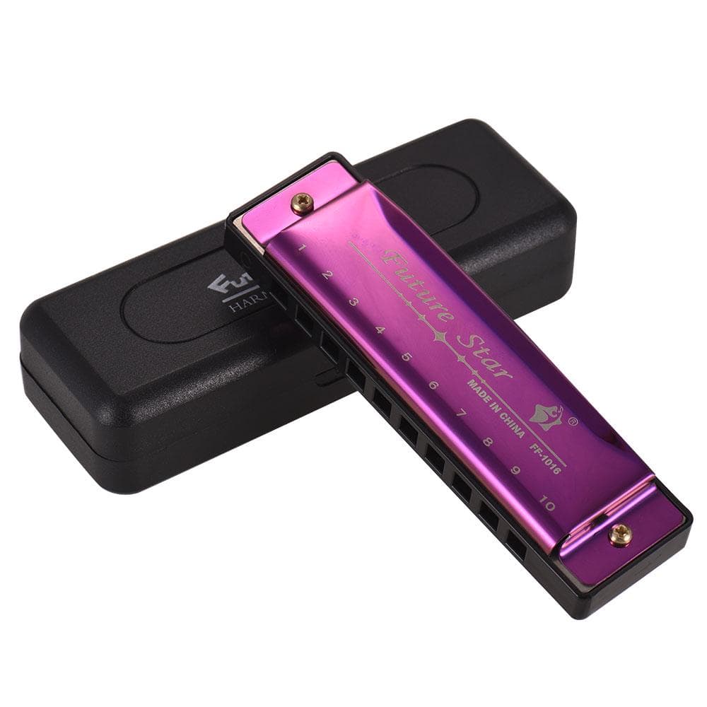 Key of C Diatonic Harmonica Mouthorgan with ABS Reeds Mirror Surface Design 10 Holes Blues purple