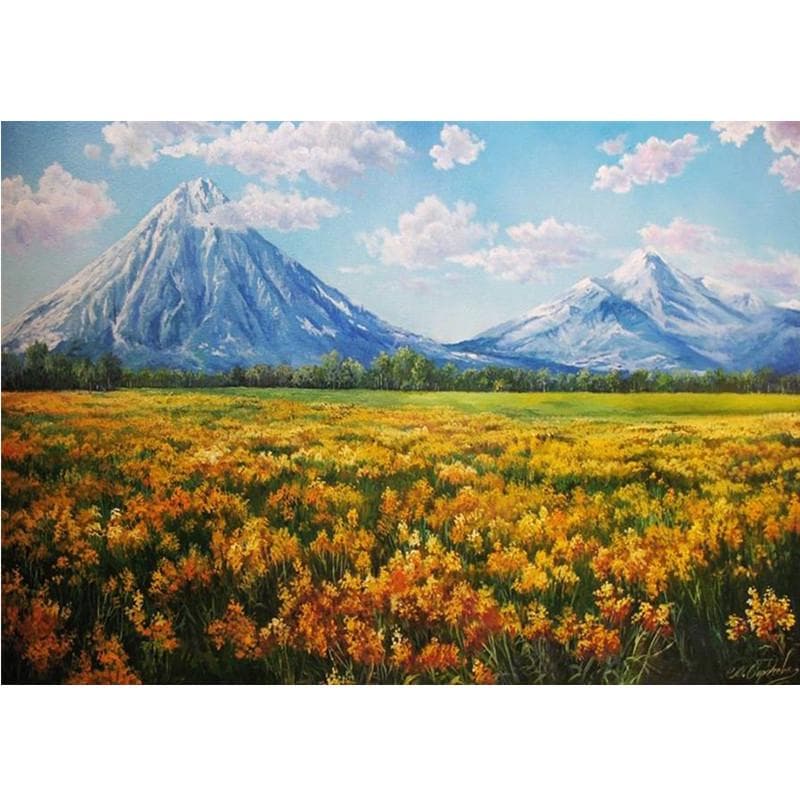 Diamond Embroidery Flower Cloud Diamond Painting Landscape 5D DIY Picture Rhinestone 20X30CM