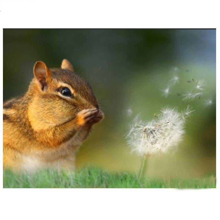 Painting Chipmunk Dandelion 5D DIY Diamond Embroidery Squirrel Mosaic Full Round Diamond Kits Decor 20X30CM