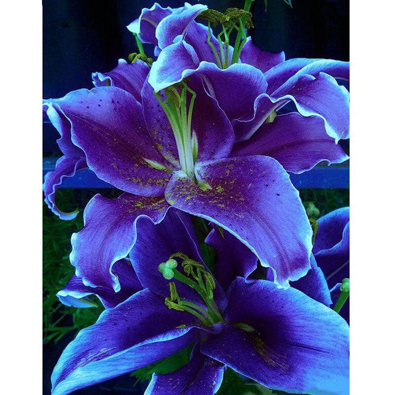 5D Diamond Painting purple Lily Flower Diamond Embroidery Large Floral Cross Stitch 5D Home Decor 20X30CM