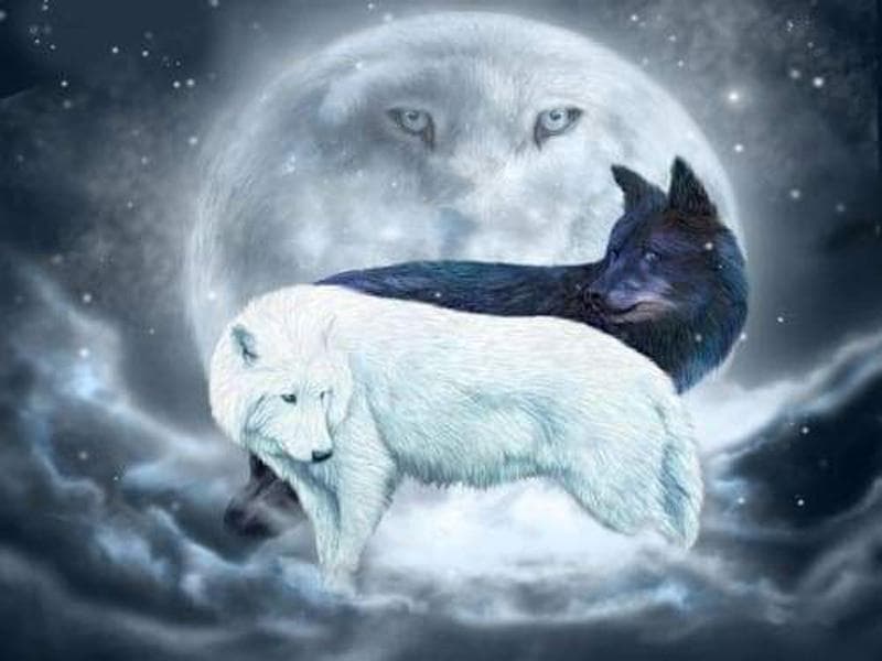 Rhinestones Embroidery Yin Yang Wolves Painting Embroidery Handicrafts Diamond Embroidery Diamond 20X30CM