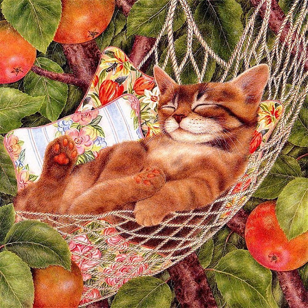 5D DIY Diamond Painting Brown cat Embroidery Cross Stitch Rhinestone Mosaic Home Decor 30X30CM