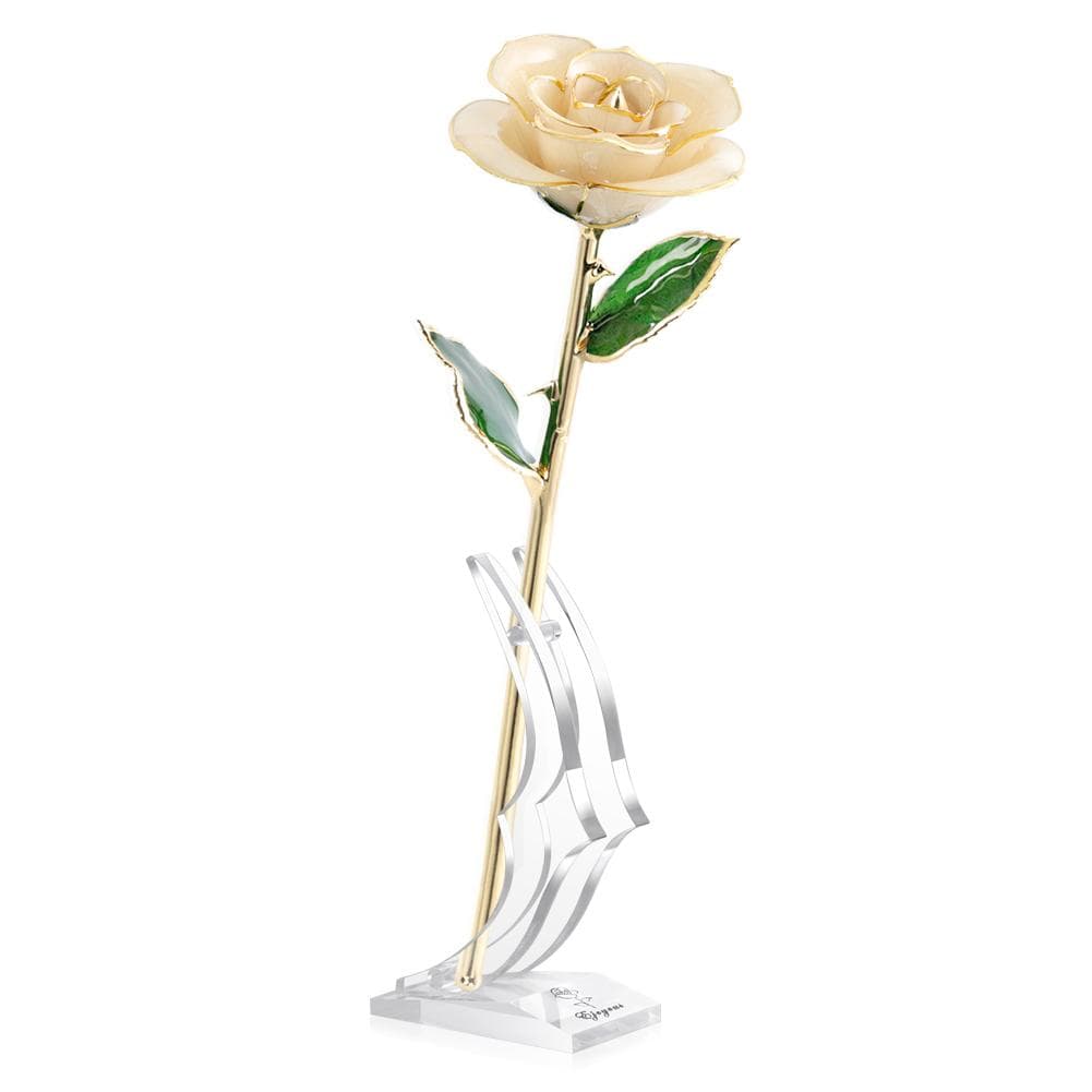 Ejoyous 24K Gold Real Rose Plated with Rose Stand Ivory