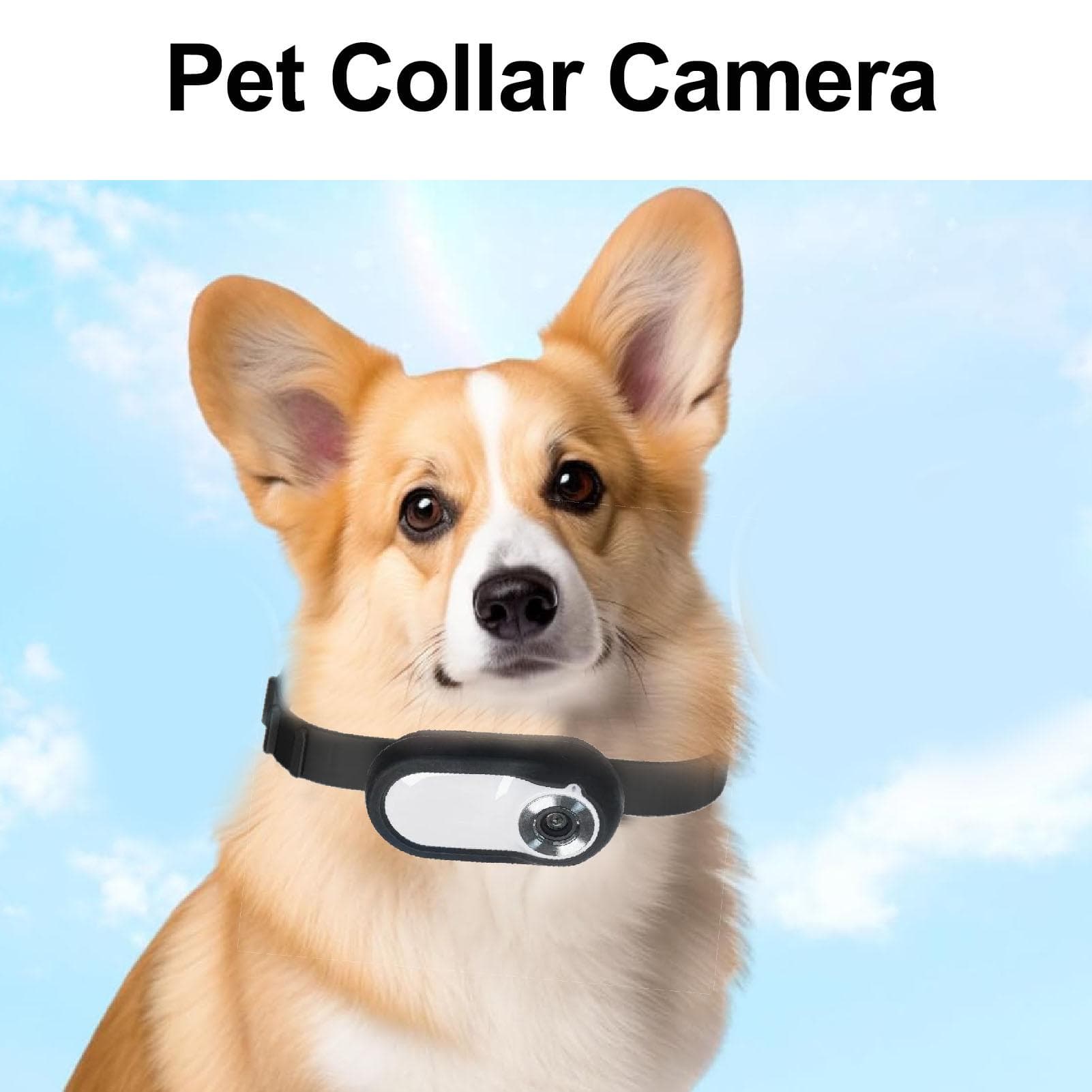 Pet Collar Camera High Definition Portable Dog Tracker Collar Camera Action Sport Dog Cam Cat Video white