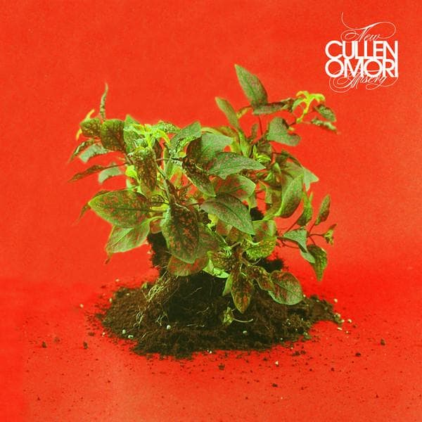 LP Record CULLEN OMORI New Misery SP1154 Sub Pop 2016 US Rock