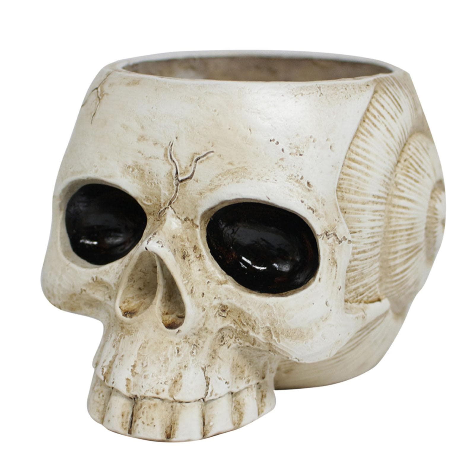 Resin Skull Shaped Flower Pot Gothic Succulent Planter Holder Ornament for Home Office Decor