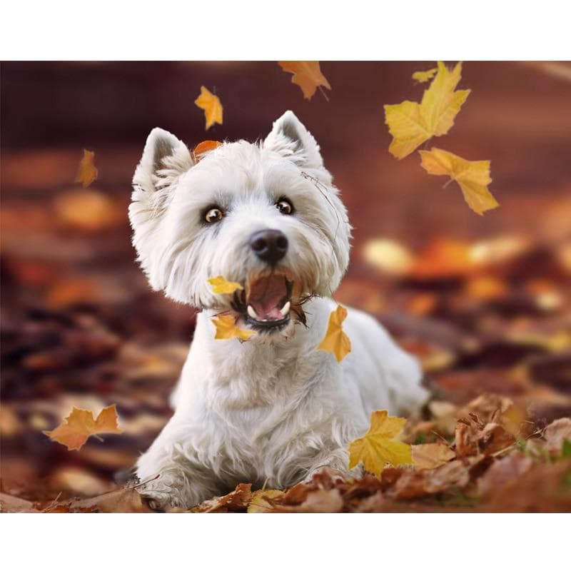 5D Diy Diamond Painting Cross Stitch West Highland White Terrier Full Round Diamond Embroidery 20X30CM