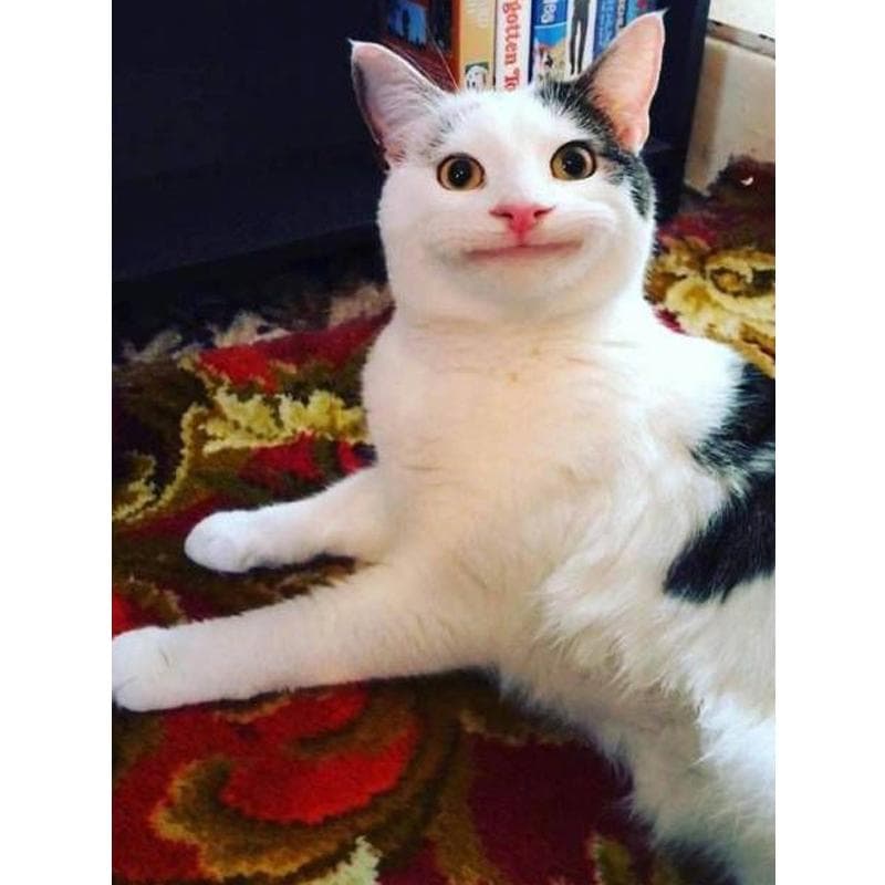 Diamond Painting Full Cat Broderie Diamond Embroidery Cartoon Diamond Cross Stitch 20X30CM