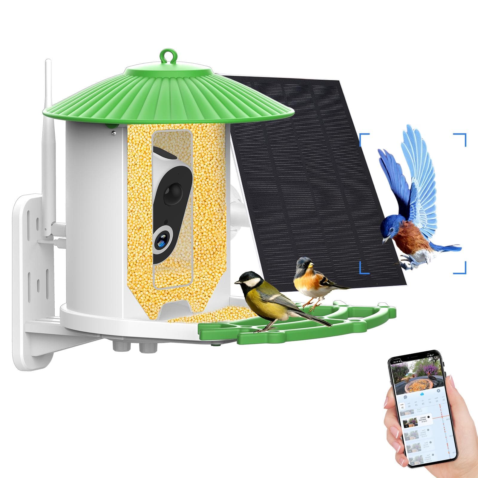 Smart Bird Feeder Camera 1080P HD Camera Color Night Vision Smart AI Identify Bird Species PIR No Card green