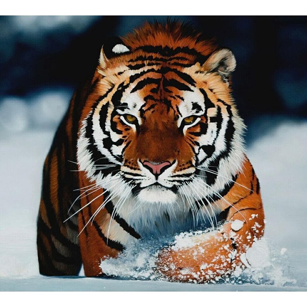 5D DIY Full round Diamond Painting tiger in the snow Embroidery Cross Stitch 20X30CM