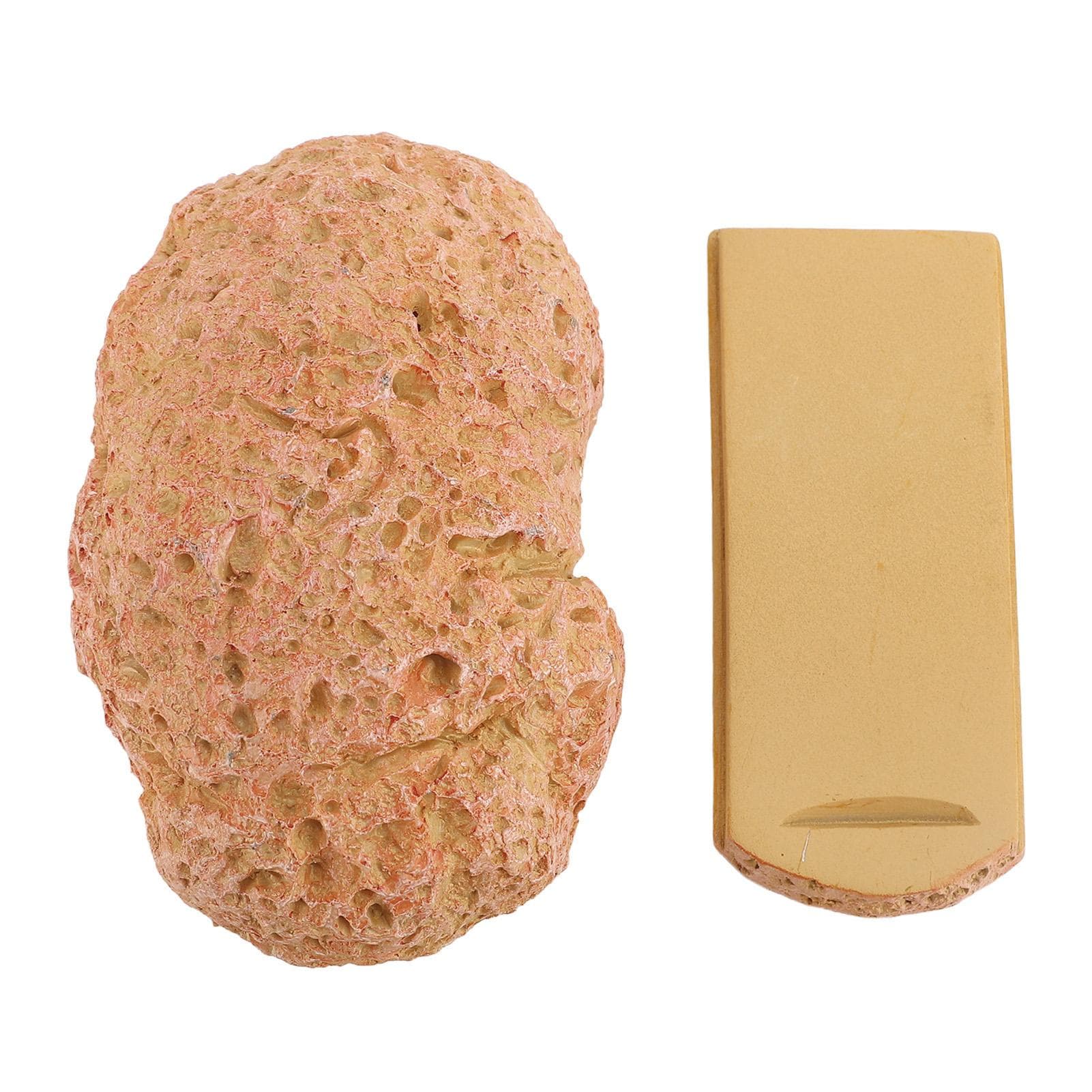 Fake Rock Key Box Weather Resistant Enhanced Safety Versatile Resin Stone Key Hider Storage Box for