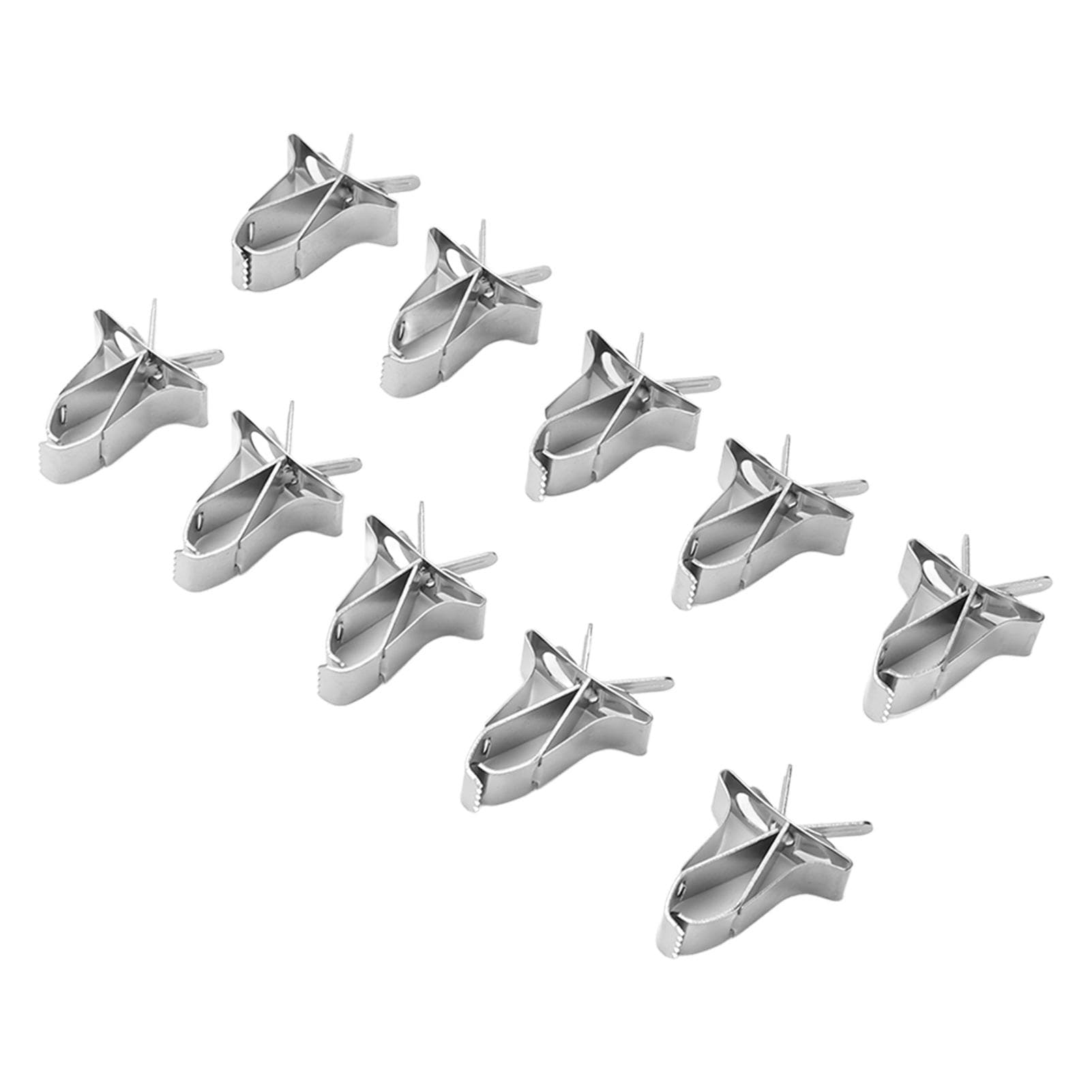 10pcs Parrot Fruit Vegtable Clips Stainless Steel Parrot Fruit Vegtable Feeder Clips for Parrot
