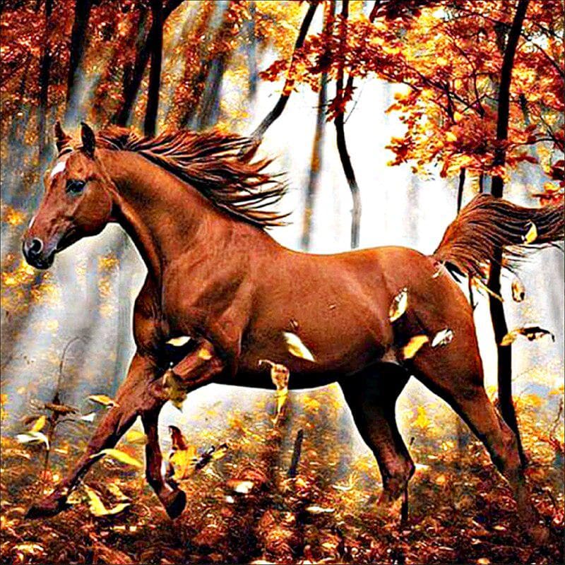 Full Round Diamond 5D DIY Diamond Painting Horses Embroidery Cross Stitch 20X30CM