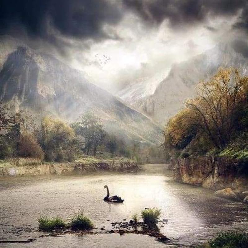 Diamond Embroidery Craft Bright Lone Swan Diy Diamond Painting Rhinestones Embroidery Wall Arts 30x30CM