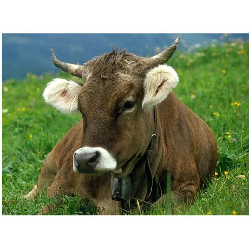 5D Diy Cross Stitch Diamond Painting Diamond Embroidery Crafts Wedding Decoration Farm Cow Sticker 20X30CM