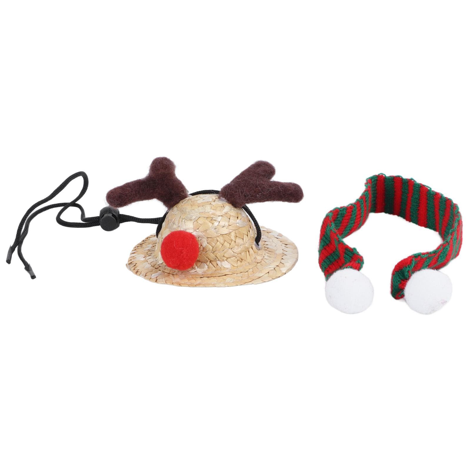 Bearded Dragon Santa Hat Cute Soft Scarf Adjustable Size Bright Colors Lizard Santa Hat with Scarf L