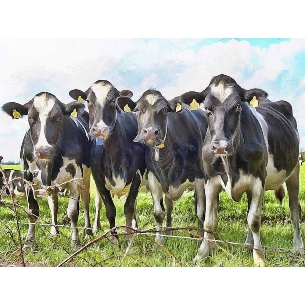 DIY Diamond Painting Animals Cow Full Round Diamond Embroidery Netherlands Ranch Rhinestone Painting 20X30CM