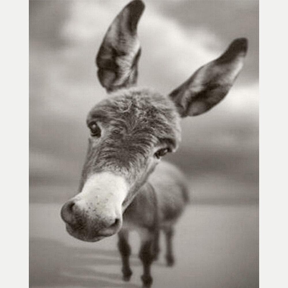 DIY Cute Donkey Diamond Embroidery Animals Series Diamond Painting Cross Stitch Home Decor Gift 20X30CM